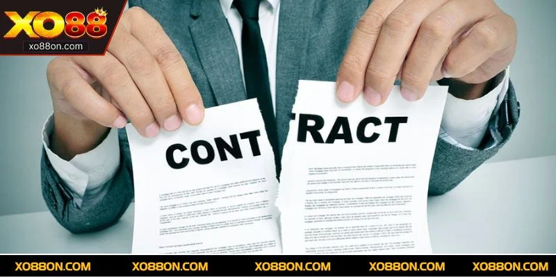 Điều khoản miễn trừ trách nhiệm tại XO88 giúp xây dựng cộng đồng cá cược minh bạch