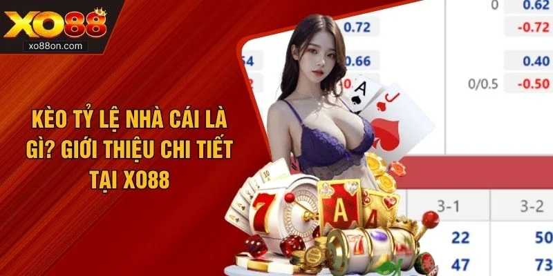 Kèo Tỷ Lệ Nhà Cái Là Gì? Giới Thiệu Chi Tiết Tại XO88